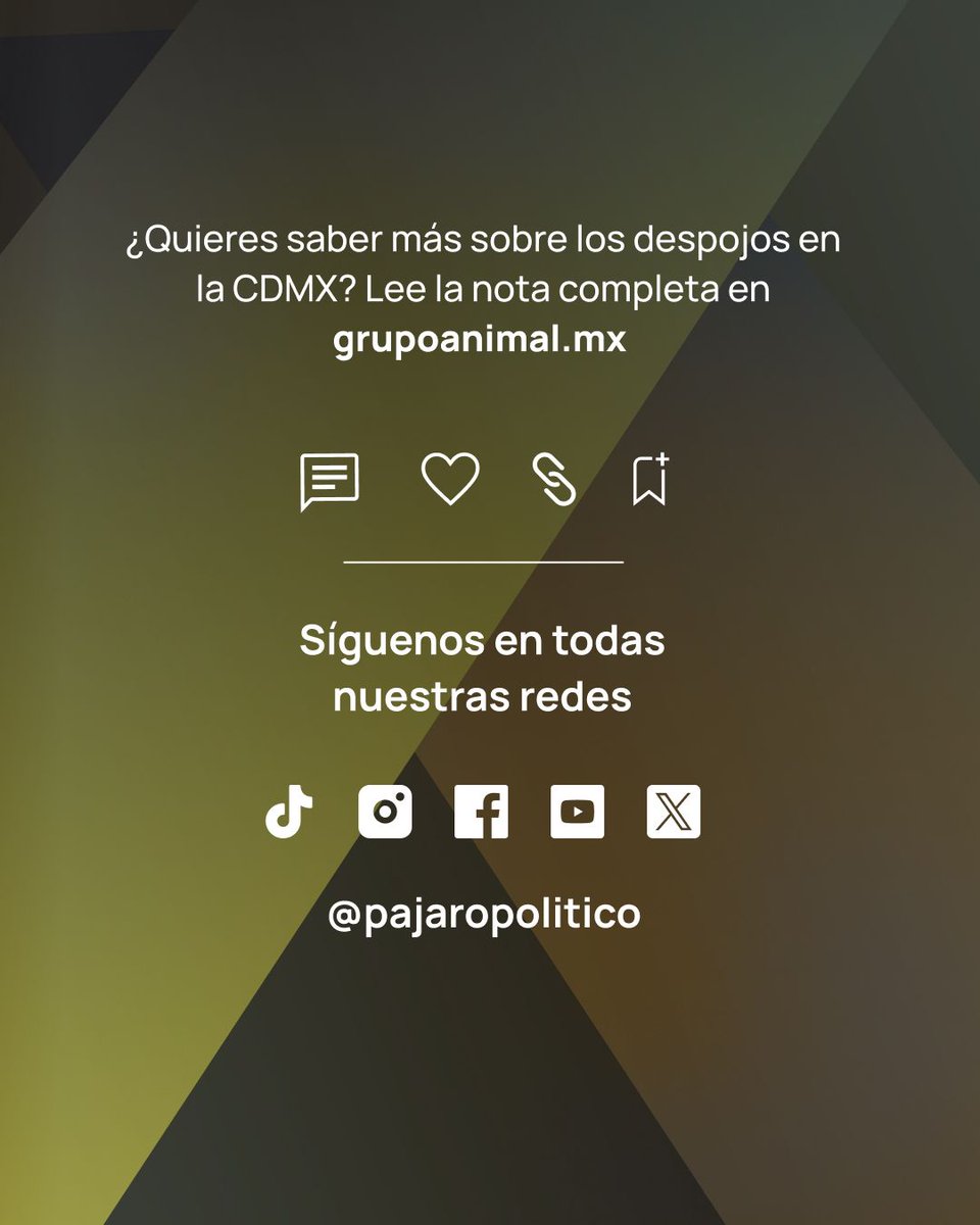 Animal Político tweet media