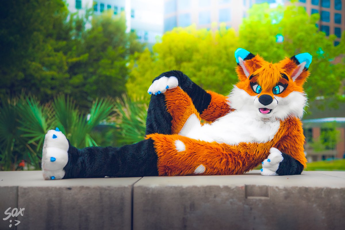 Autumn 🦊 tweet media