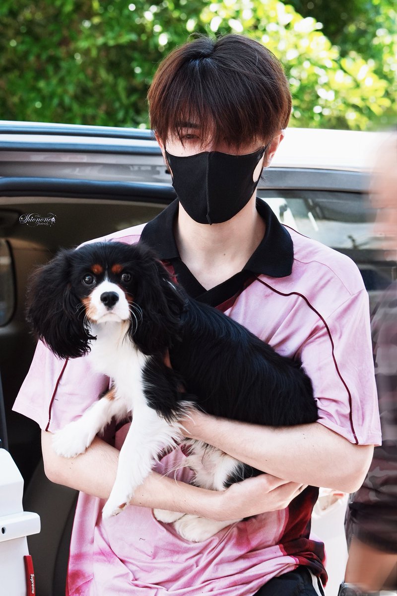boto_bow's tweet photo. เป็นน้องหมาที่เท้าแทบไม่แตะพื้น เพราะพี่ชายอุ้มตั้งแต่เล็กจนโต
มีของแรร์ #คุณหนูน้องนิค เท้าแตะพื้นด้วยนะคะ https://t.co/Ef1zWidFds 🤣🤣🤣 https://t.co/tCo7JUIdEP