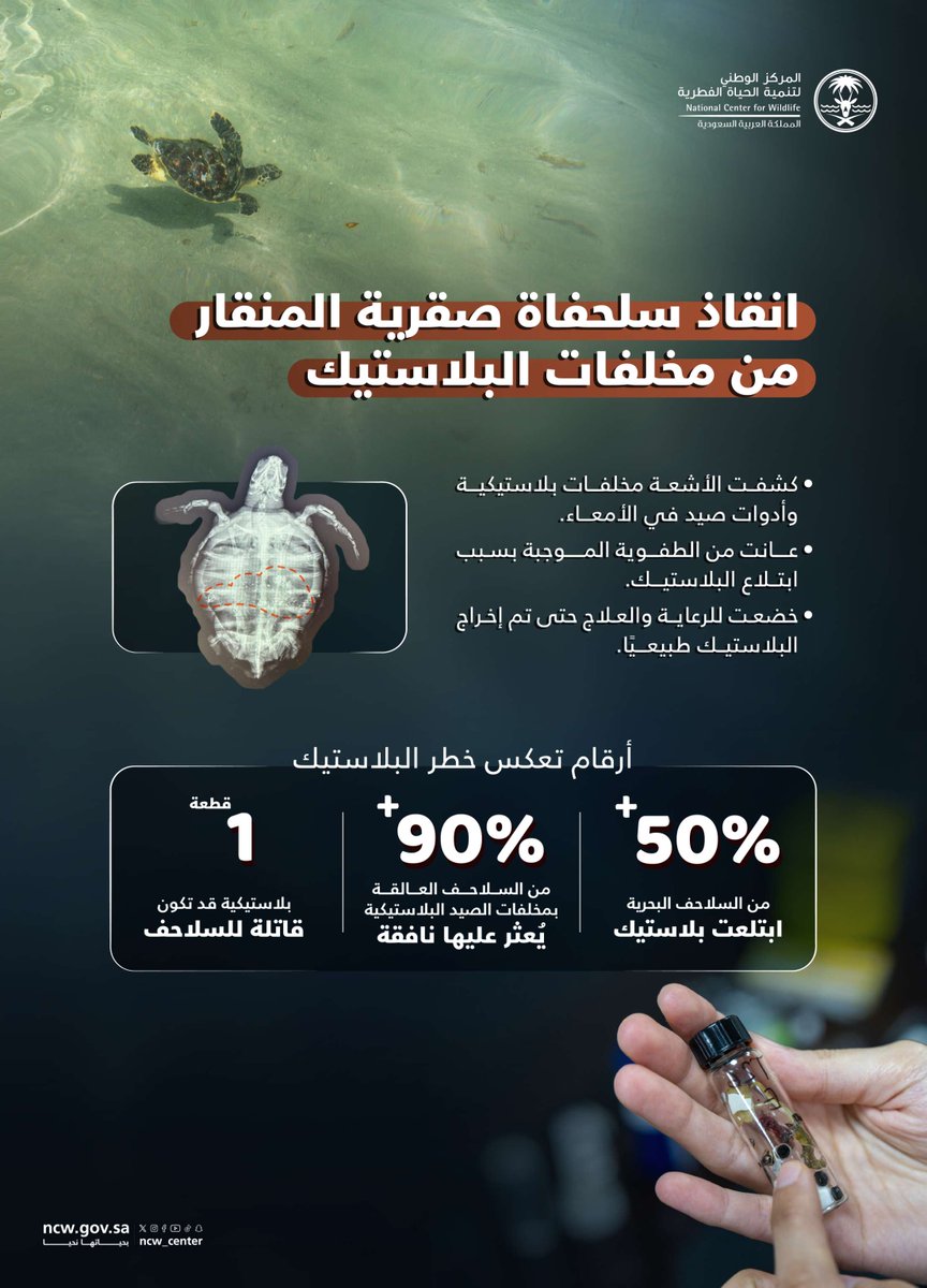 NCW_center's tweet photo. مخلفات بلاستيكية وبقايا أدوات صيد، داخل أمعاء سلحفاة بحرية مهددة بالانقراض.. حالة عالجها مختصو المركز حتى استقرت حالتها، وتخلصت منها طبيعيًا.
#بحياتها_نحيا https://t.co/jDKn9zCGz7