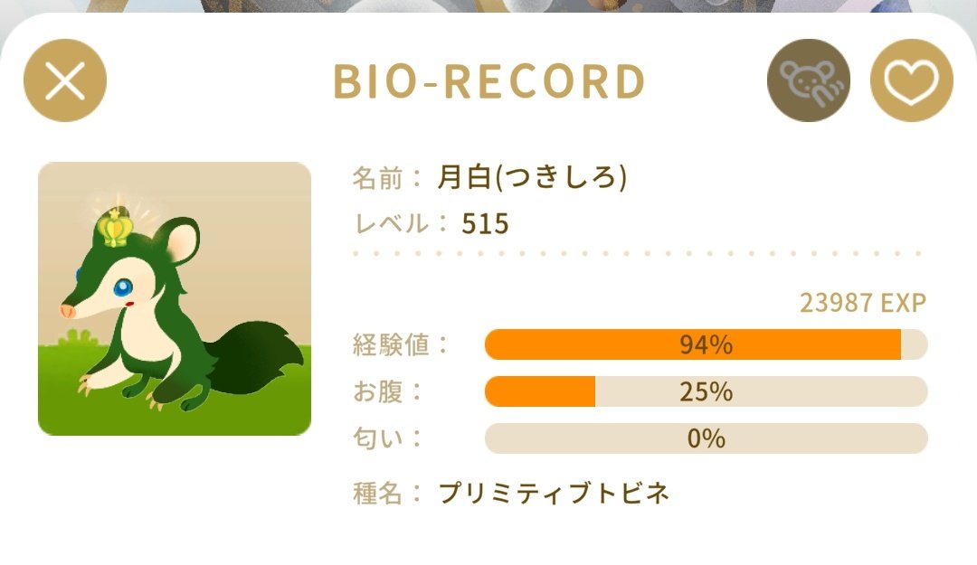 ここに種名出るようになってるｲｲﾈ