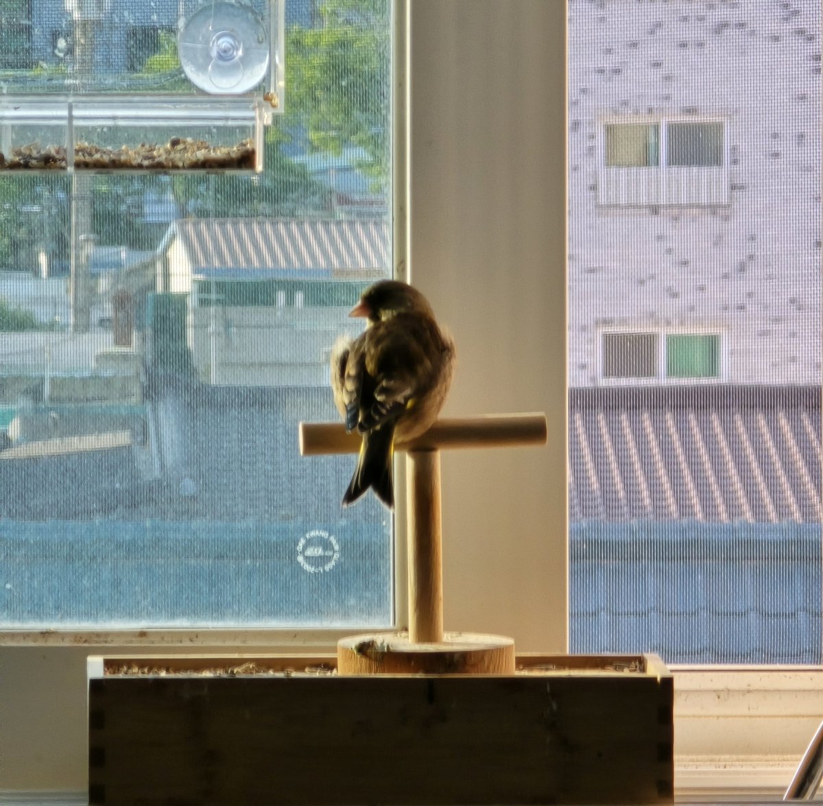 slang2648's tweet photo. 日差しのおかげか、とても暖かそうに見えますね☀️ https://t.co/SuWz7KlBfN