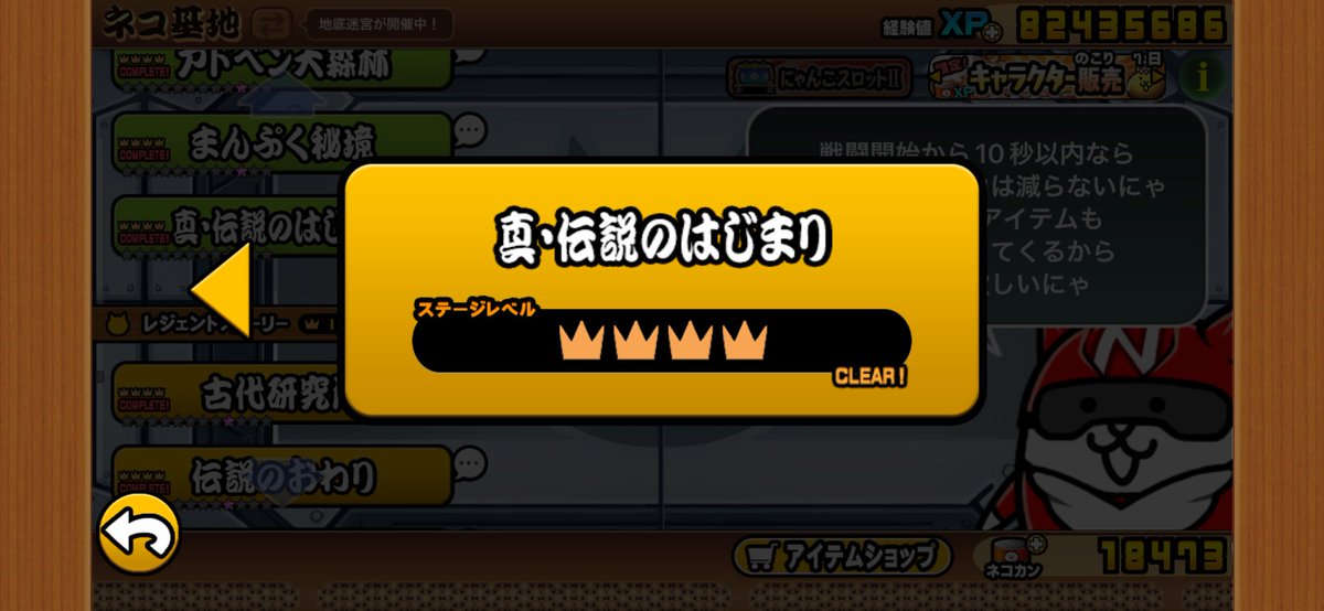 雪ねこ tweet media