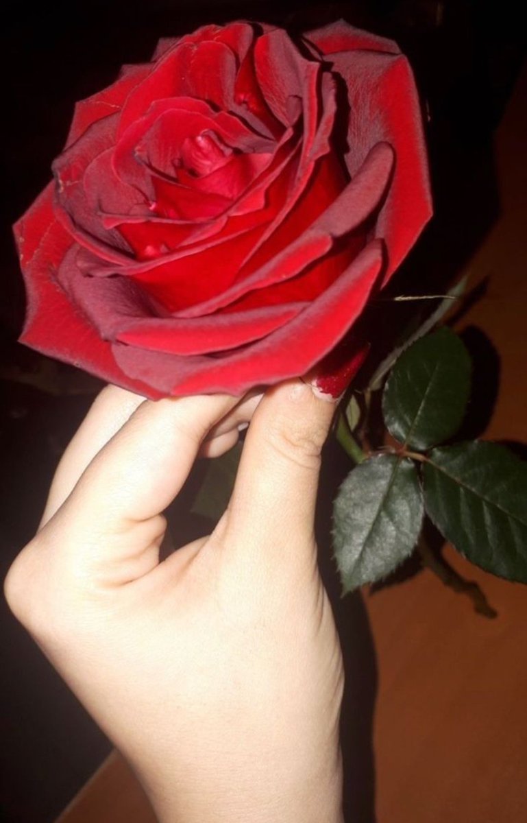 opinion1555's tweet photo. @ttht679 صباحك ورد https://t.co/TXzYolQ9kN