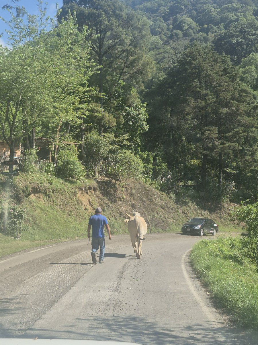 Tigro18_'s tweet photo. Vamonos a la chamba! A los caminos de terraceria, a la comunidad. Nos toco Loma Larga. Jajaja alcance gelatina del dia del maestro 🥰🥰 que bonito. #médico #rural #unidadesmédicasmóviles #UMMEAguaAmarga #SESEQ #Viral #fyp #parati https://t.co/2wDGCwdQbW
