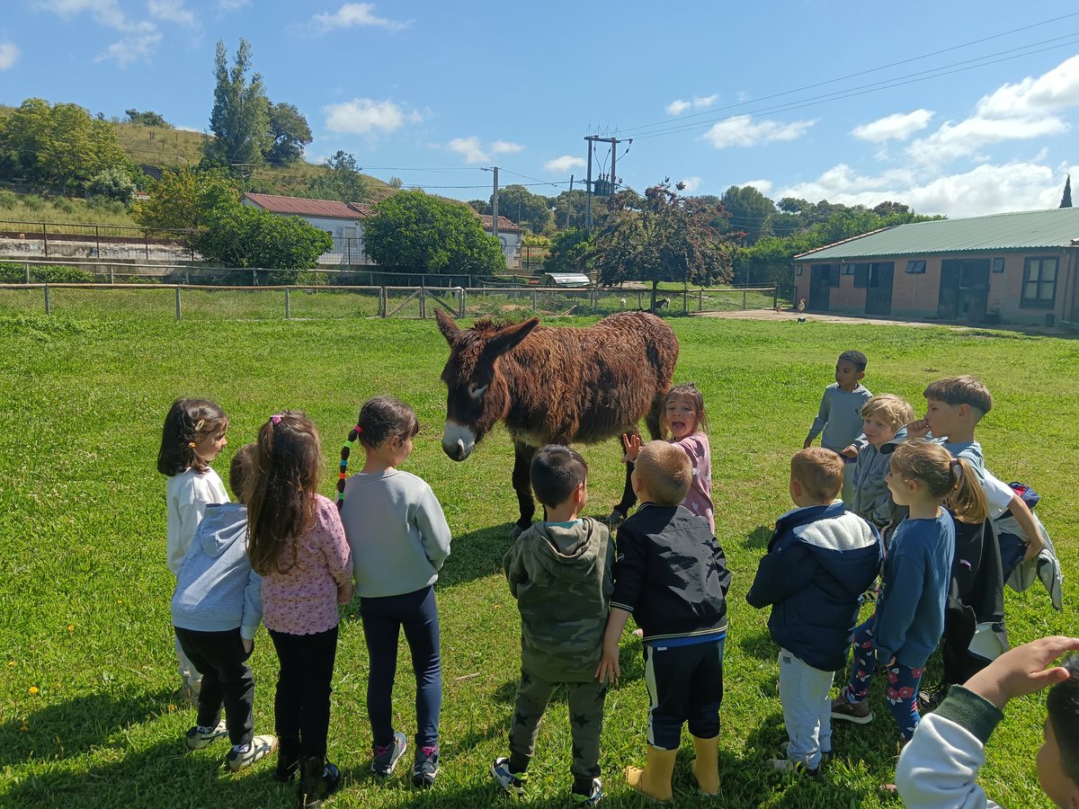 ceipmanuelmore's tweet photo. Ha sido un día fantástico en Casa Rural La Noria, de Ciudad Rodrigo. https://t.co/P6pnbrMzJC