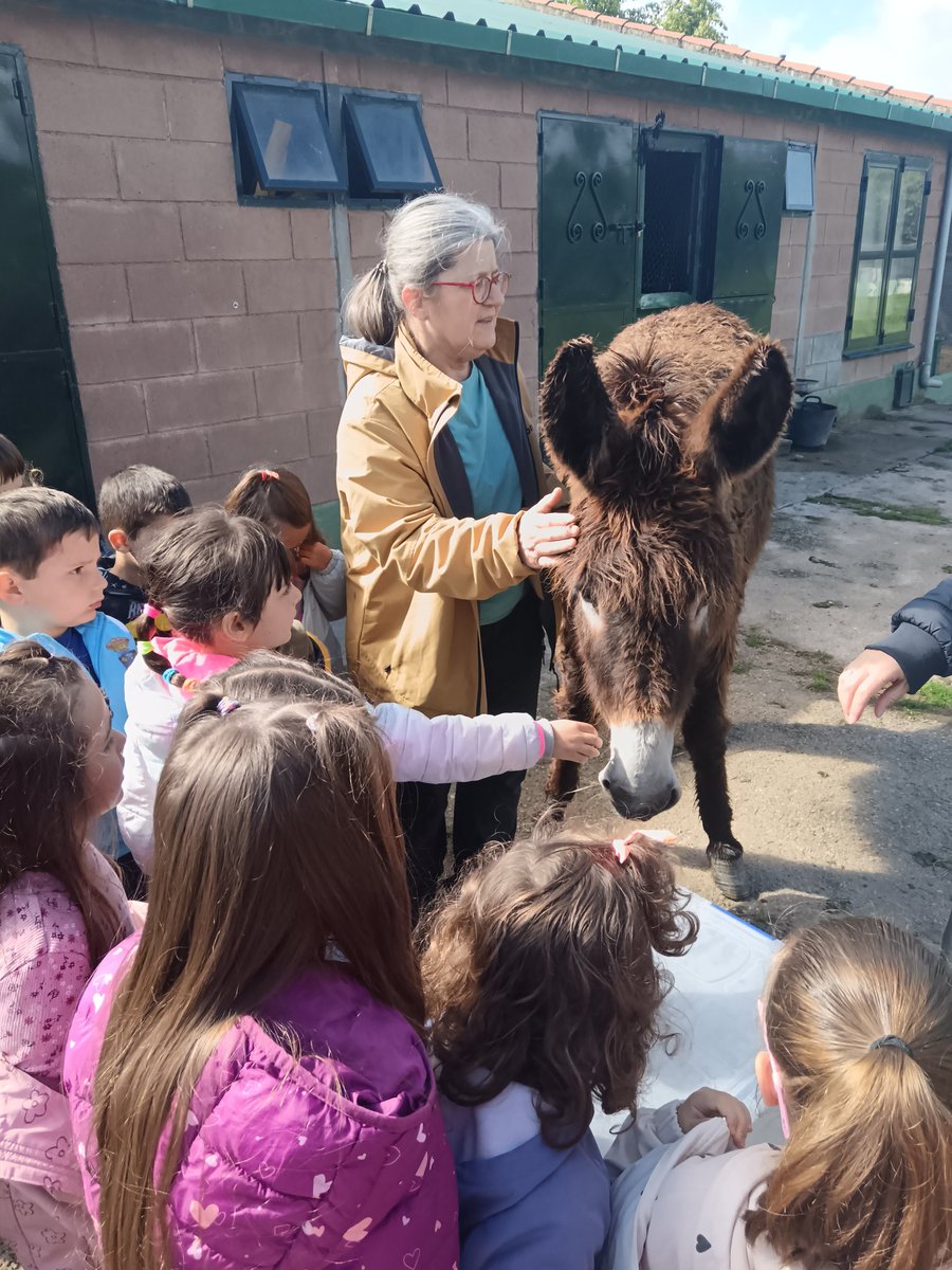 ceipmanuelmore's tweet photo. Ha sido un día fantástico en Casa Rural La Noria, de Ciudad Rodrigo. https://t.co/P6pnbrMzJC