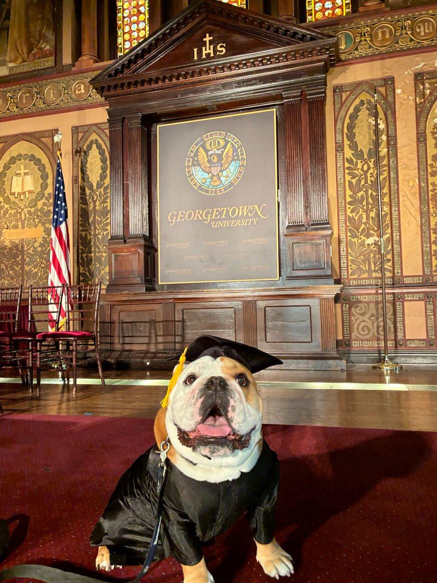 Jack the Bulldog tweet media