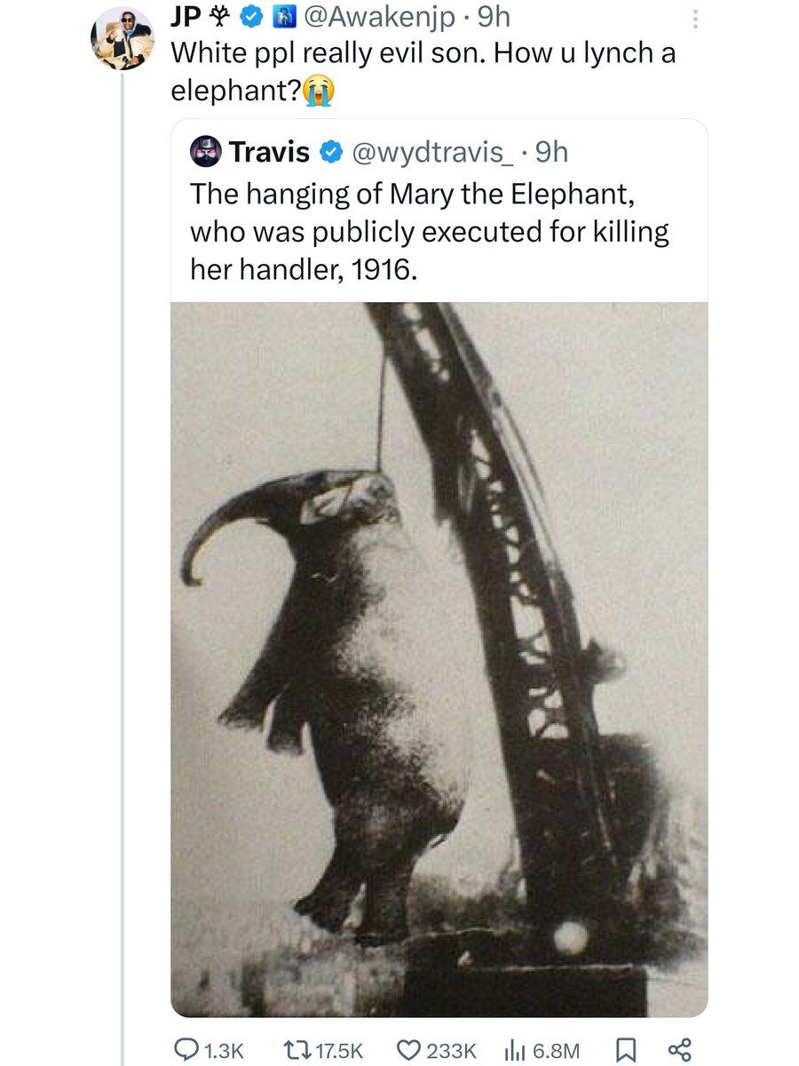 Delusional Takes tweet media