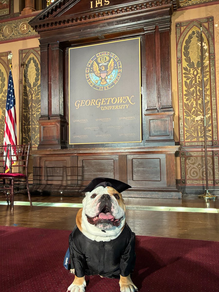 Jack the Bulldog tweet media