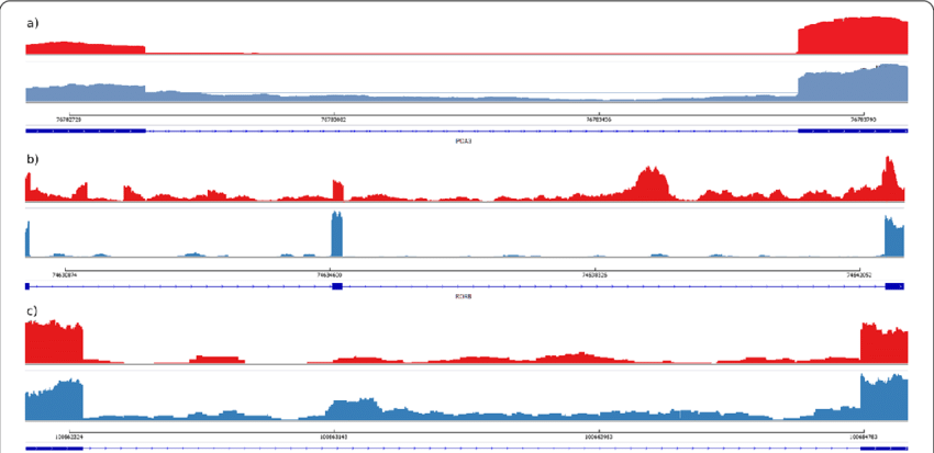tangming2005's tweet photo. Why are there intronic reads in your bulk RNA-seq data?
 You're not alone—it's common, and the reasons are more layered than you think.
 Let’s break it down. 🧵 https://t.co/bkoxoDK3CS