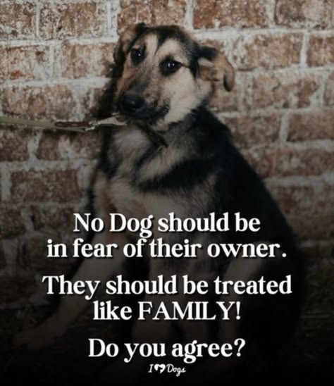 Beyond The Leash tweet media