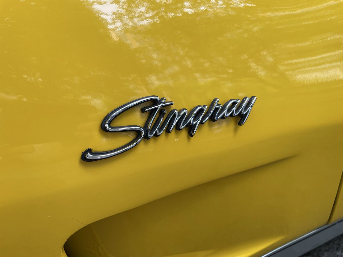 pfucito's tweet photo. Stingray 😁 https://t.co/k0YrHmNStV