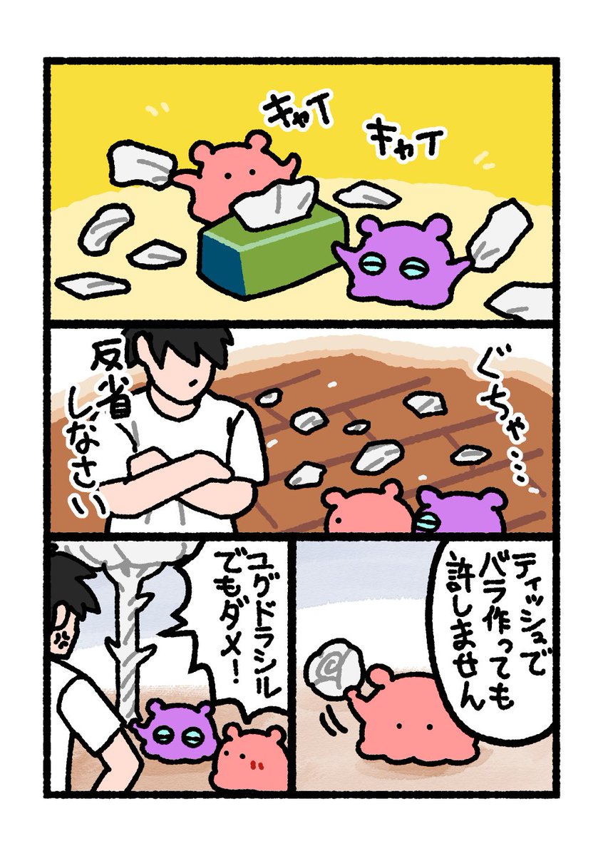 まいにちめんだこ tweet media