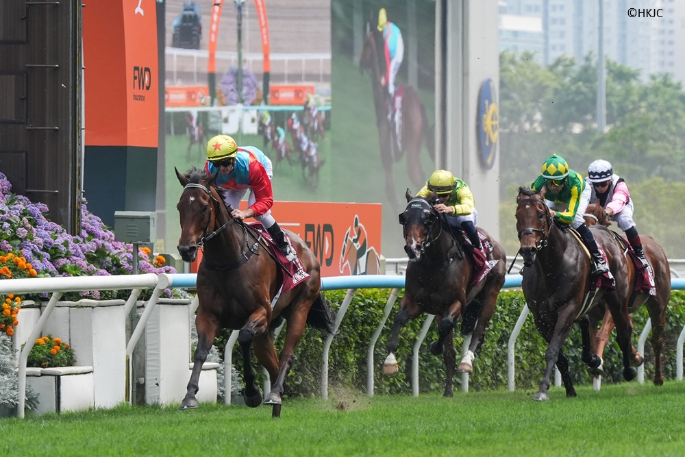 worldsbesthorse's tweet photo. Ka Ying Rising is the first sprinter to post a rating of 130 or higher since the great Black Caviar did so from 2011-2013.

Read: https://t.co/DmPLegqsOL https://t.co/oLhi10bBM6