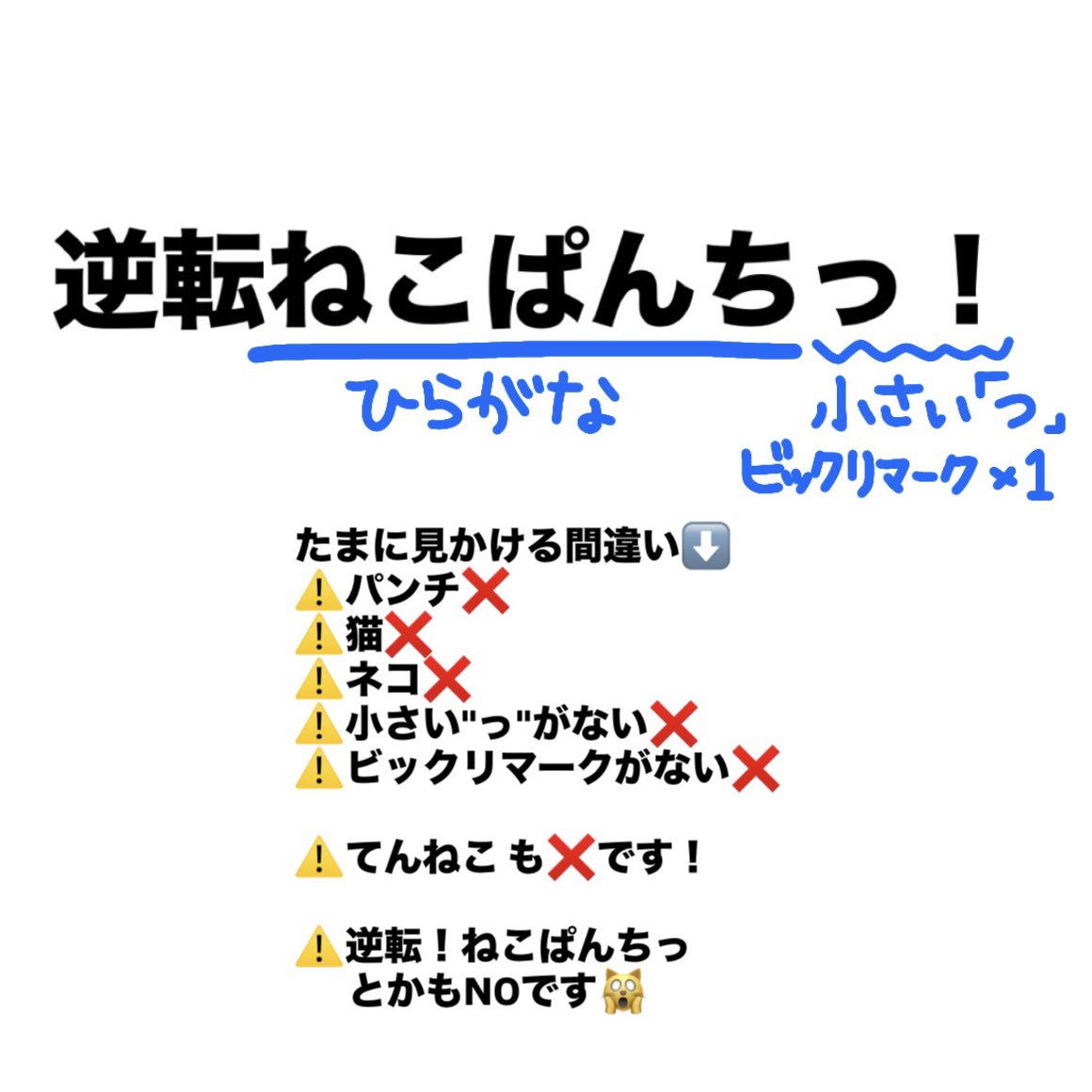 あったか こころ５／３０(日)プチワンマンきてほしいです！@てんねこ tweet media
