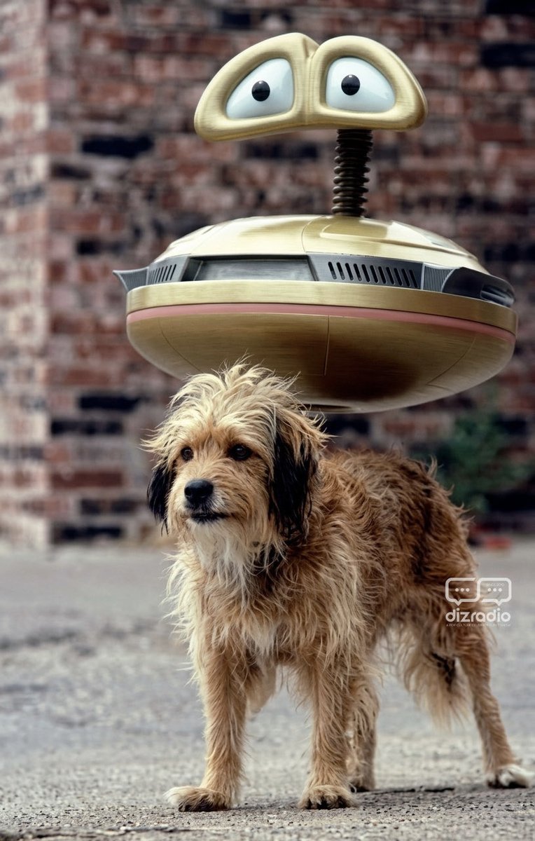 DisneyBlu's tweet photo. High-Stakes Fever Dream of Benji, Zax &amp; the Alien Prince

If you grew up glued to the TV on Saturday mornings, nothing captures that chaotic energy quite like the live-action anomaly that was Benji, Zax &amp; the Alien Prince. Produced by Hanna-Barbera.

#benji #zax #saturdaymorning https://t.co/etRMThXpn3