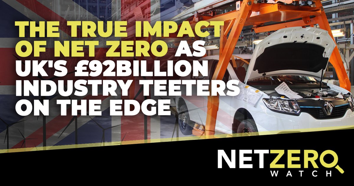 Net Zero Watch tweet media