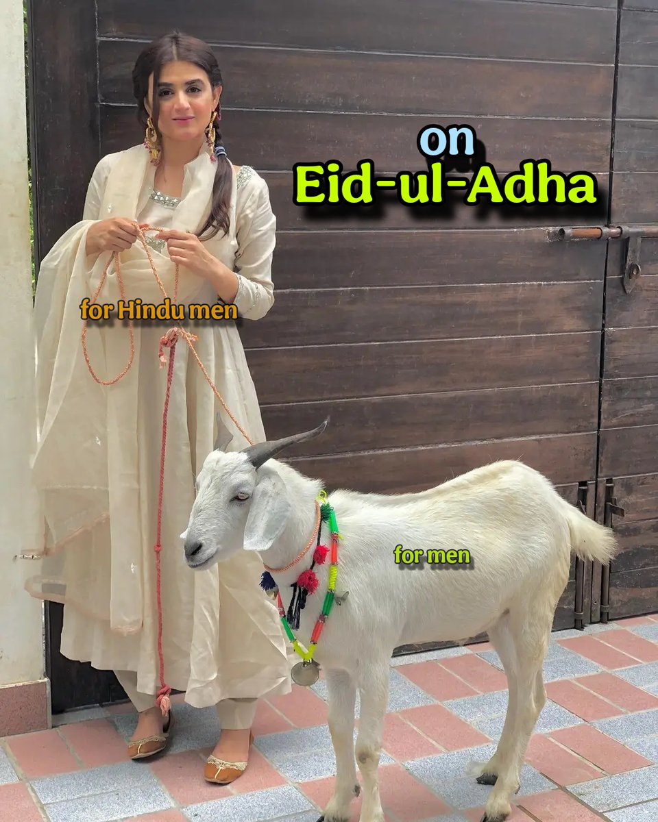 Sana tweet media
