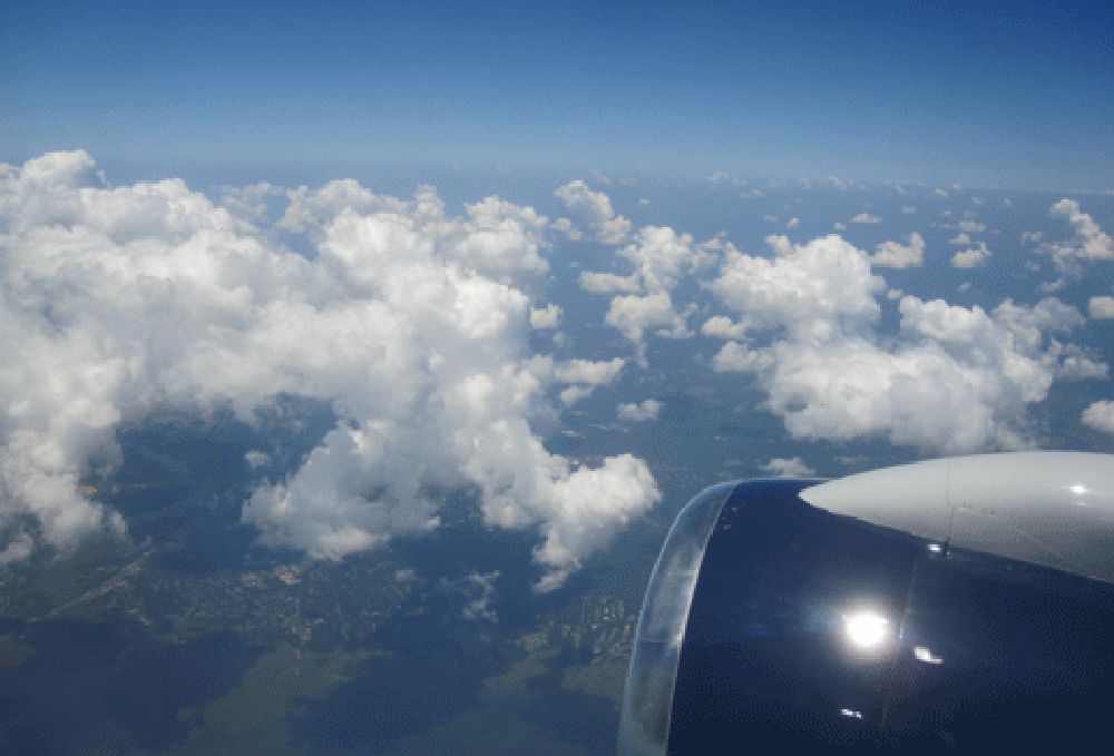 TravelersUnited.org tweet media