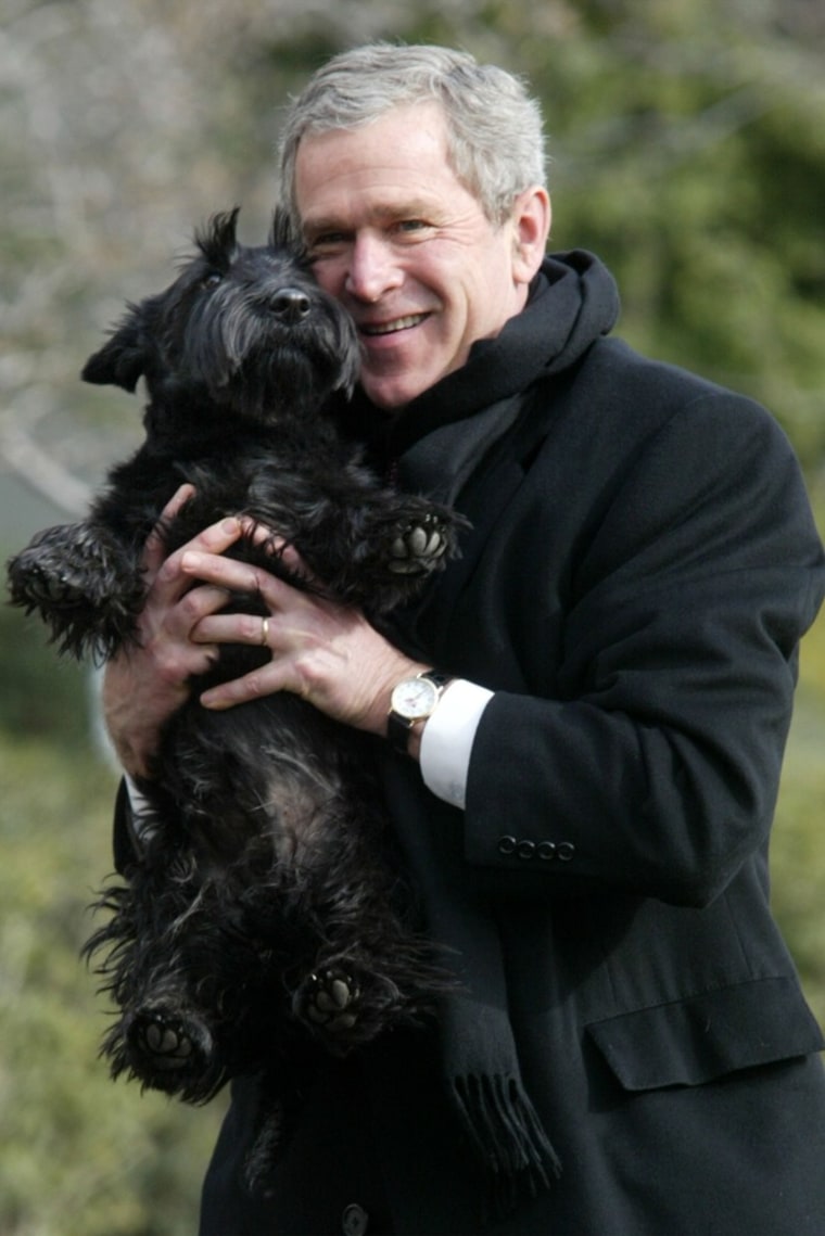 Photos of bush tweet media