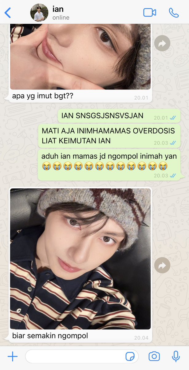 haodogyuu tweet media