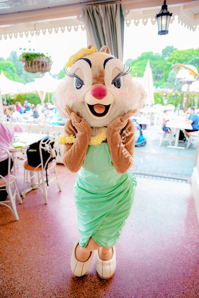 ᴍɪꜱᴀ🐭 tweet media