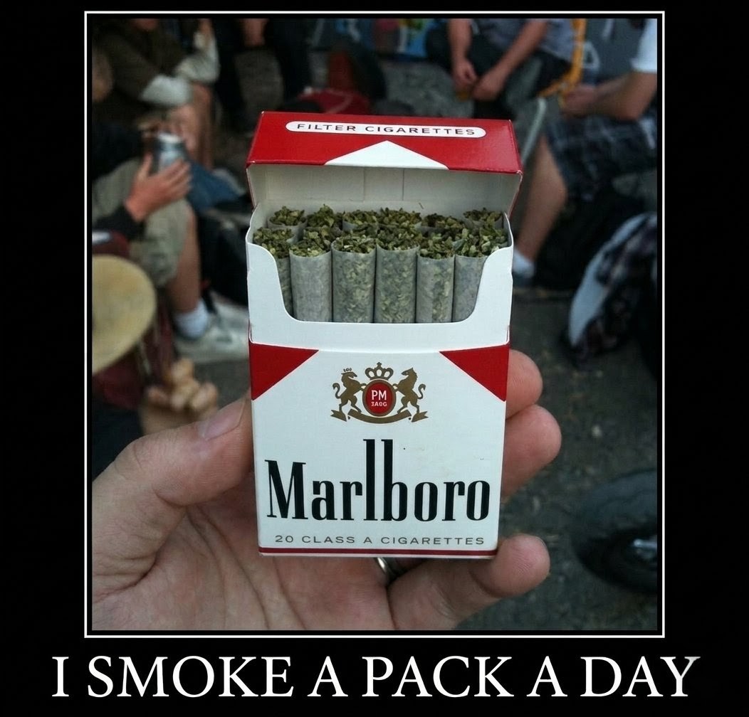 Artek Swaróg🌿💨🇵🇱 tweet media