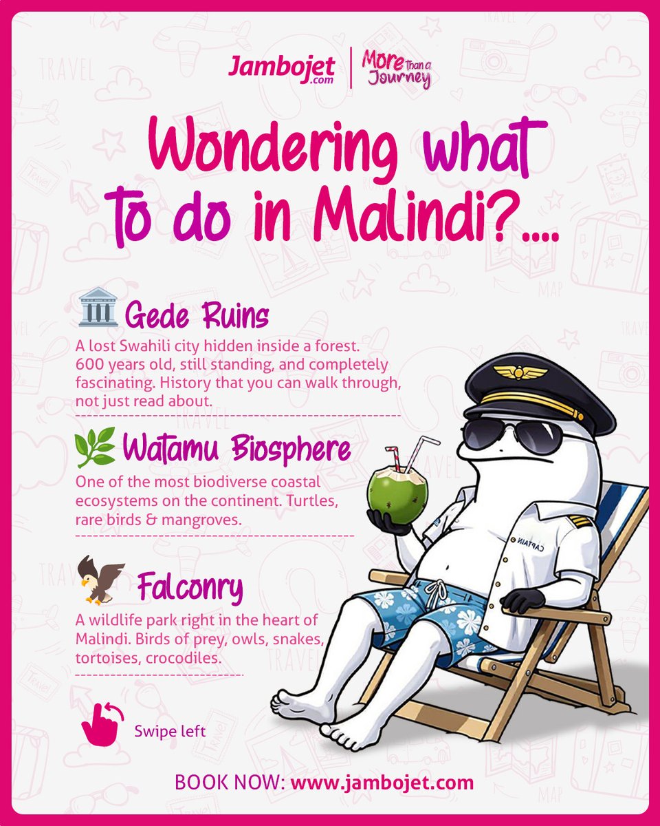 FlyJambojet tweet media
