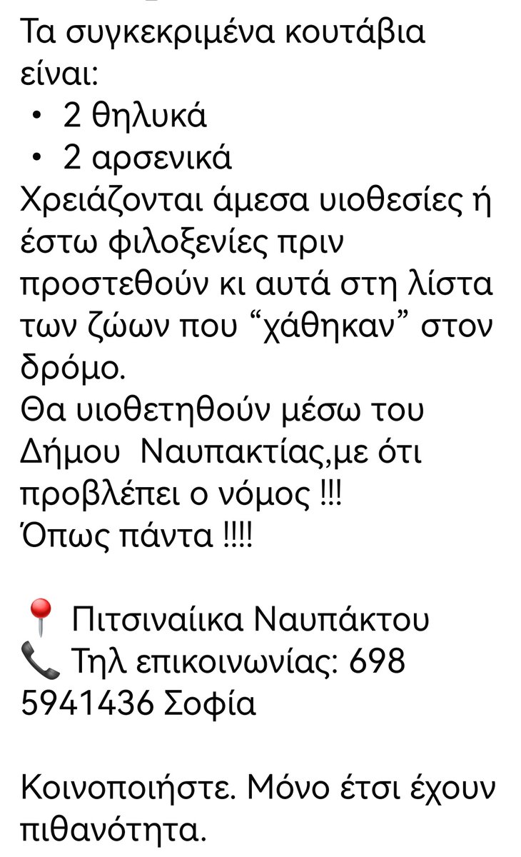Christinaliroudia tweet media