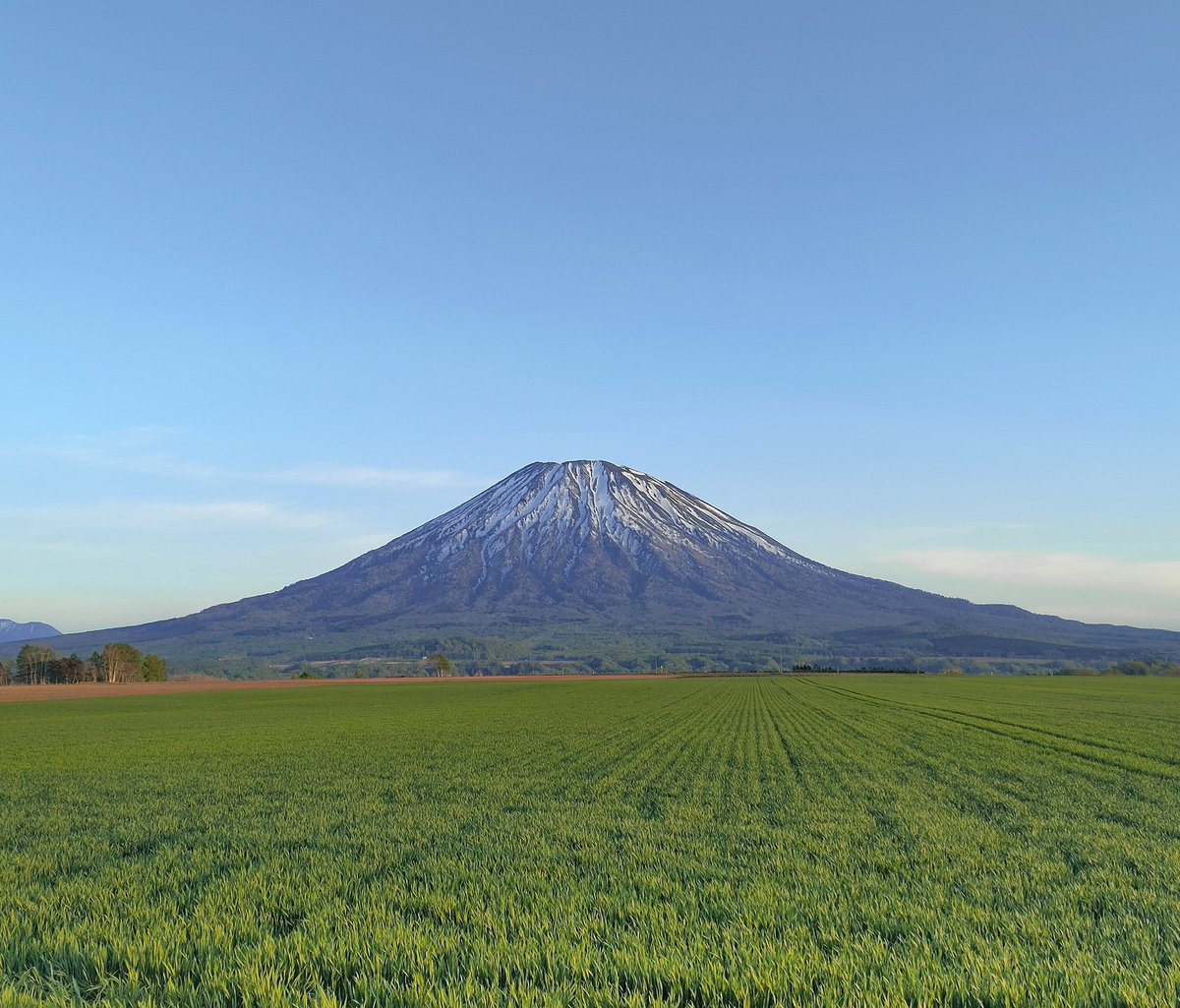 momosapporo1's tweet photo. 麦の緑。
空の青。
雪の白。

#蝦夷富士 https://t.co/kSVoL8G0rF
