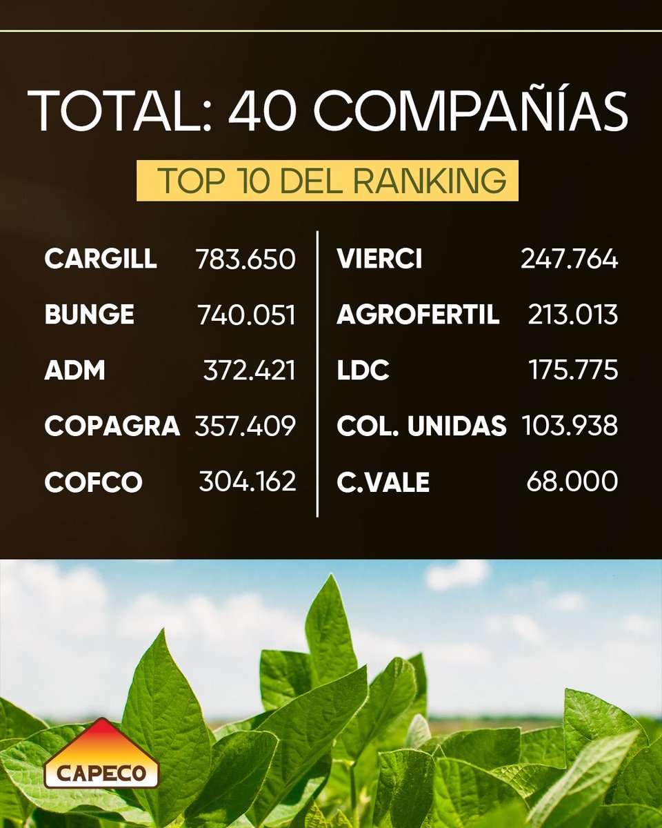 CAPECO tweet media