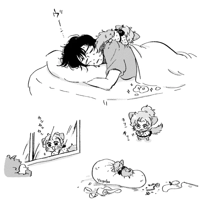 けま家のねこちみ伊 