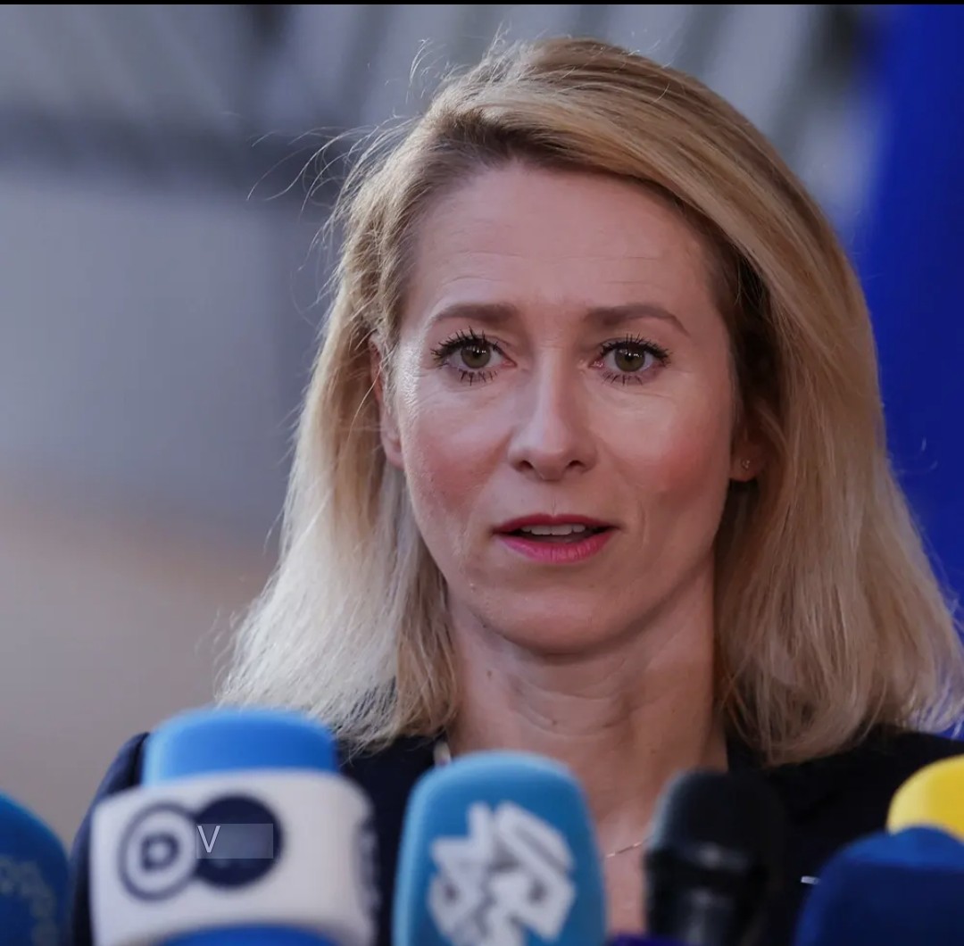 D.Radka, #NAFO 🇨🇿🤝🇺🇦 tweet media
