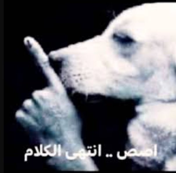جمال tweet media