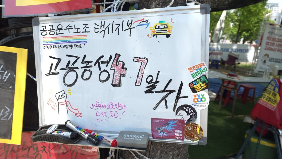 고영기(하얀소나무) tweet media