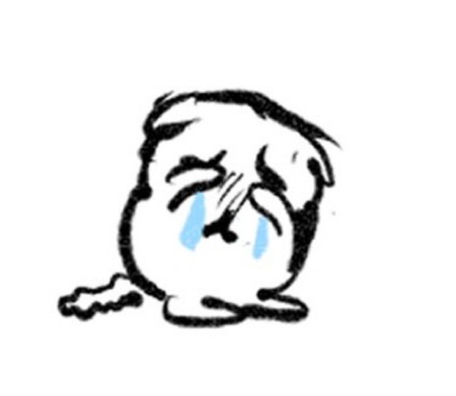유기농보리차 tweet media