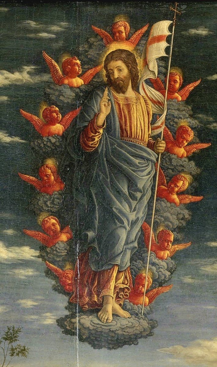 Catholic Frequency tweet media