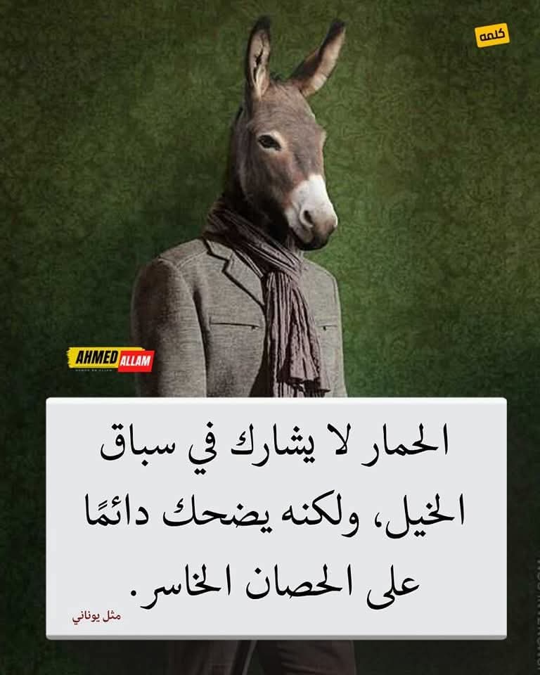 Furat tweet media