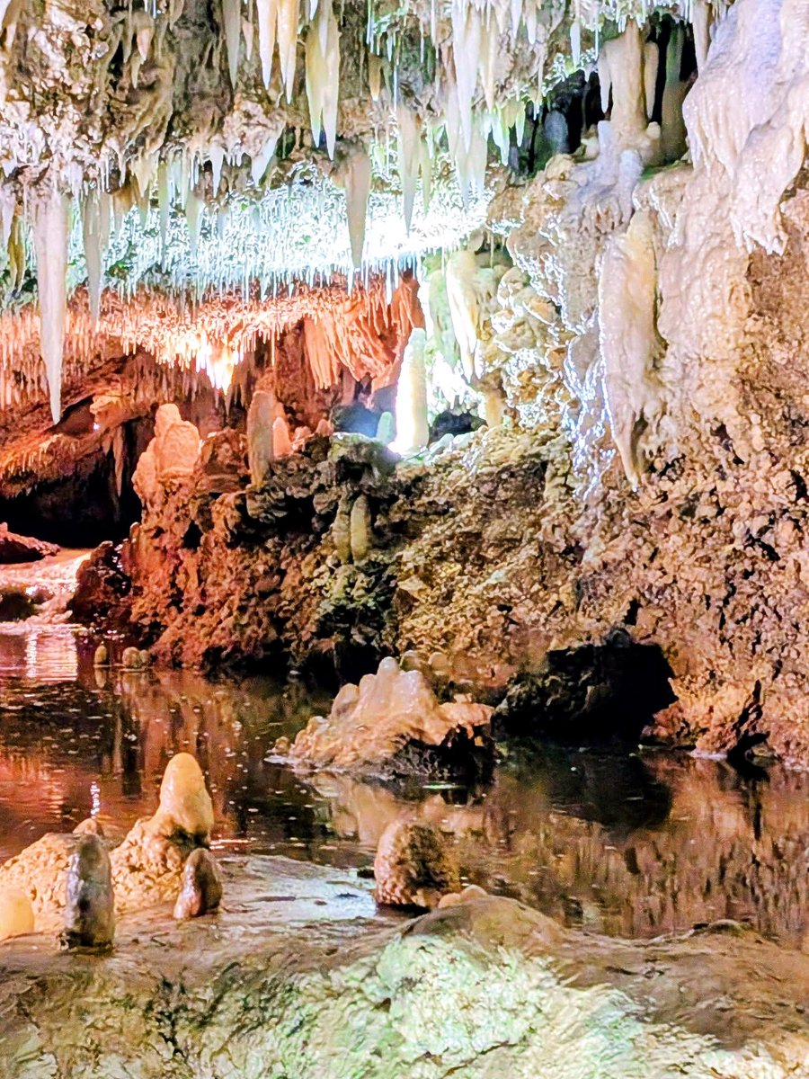 welcomestamp's tweet photo. Barbados is home to many stunning natural sites, including the historic Harrison's Cave! Have you explored this attraction yet? 

Photo Credit: @travel_accountant 

#BarbadosWelcomeStamp #Barbados #HarrisonsCave #NaturalWonders https://t.co/cu64CwYTZ4