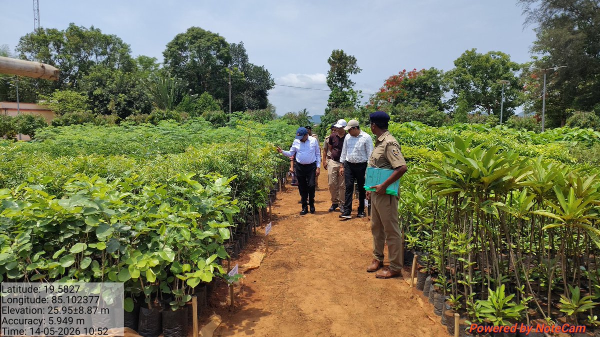 dfobhmpr's tweet photo. PCCF &amp; HoFF Odisha inspected Nursery of CN Badaghati, PN Sindurapalli, Dumangiri Plantation, Sonapur Casuarina and Mangrove Plantation today in Berhampur Division. https://t.co/vzm751RoKw