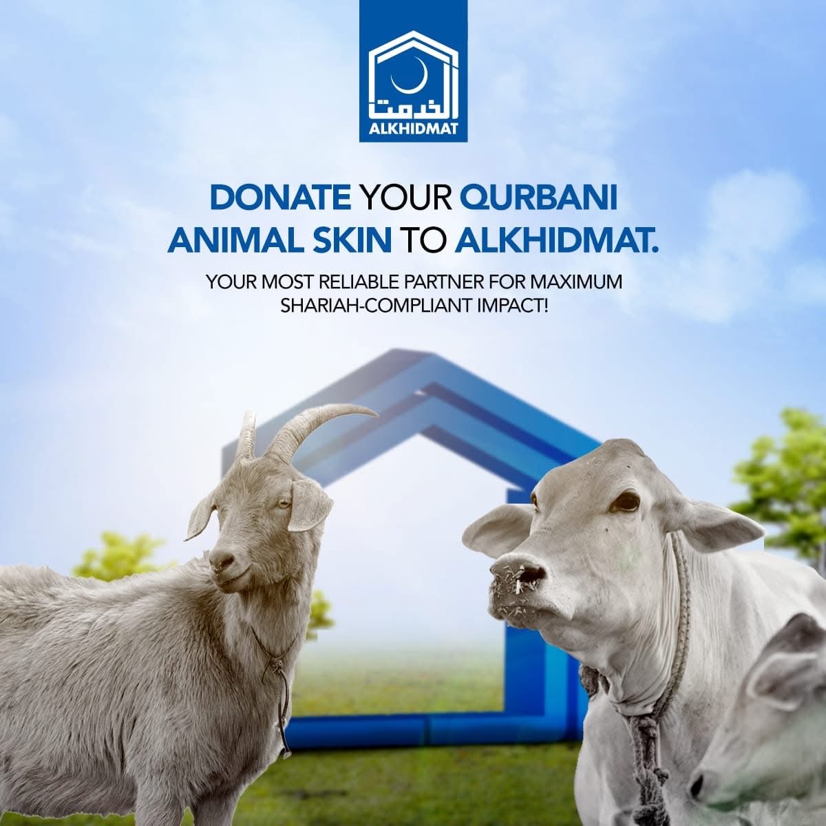 AlkhidmatPk's tweet photo. Donate your Qurbani animal skin to Alkhidmat.
Donate👉 https://t.co/aS2oQhOR2n
Your most reliable partner for maximum Shariah-compliant impact!
📞 03000771601
#Donate #AnimalSkin #HideCollection #Alkhidmat https://t.co/bGv095qDiw