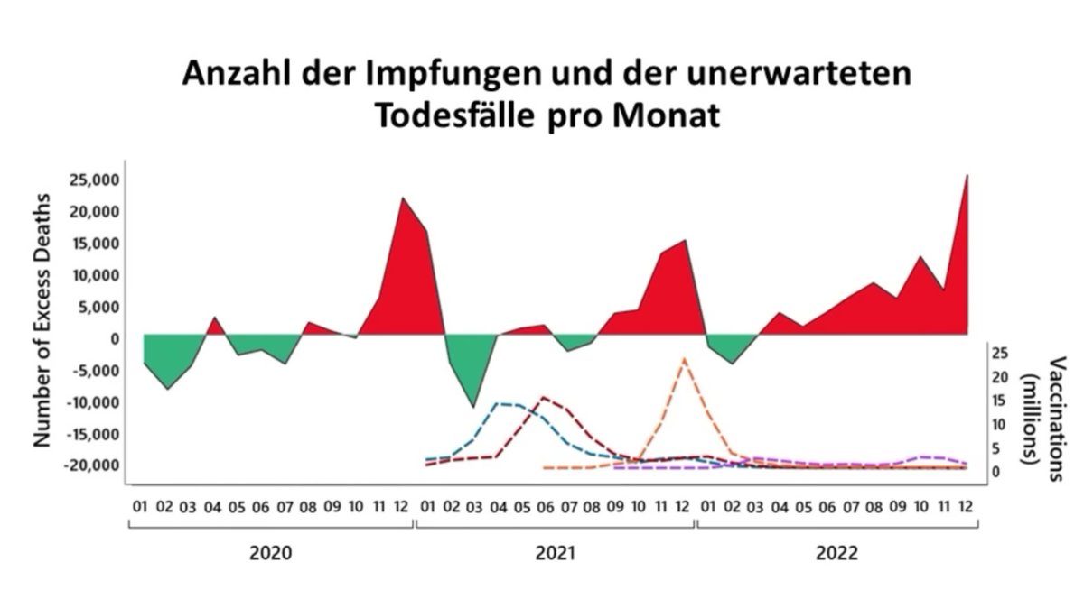 Franz D. tweet media