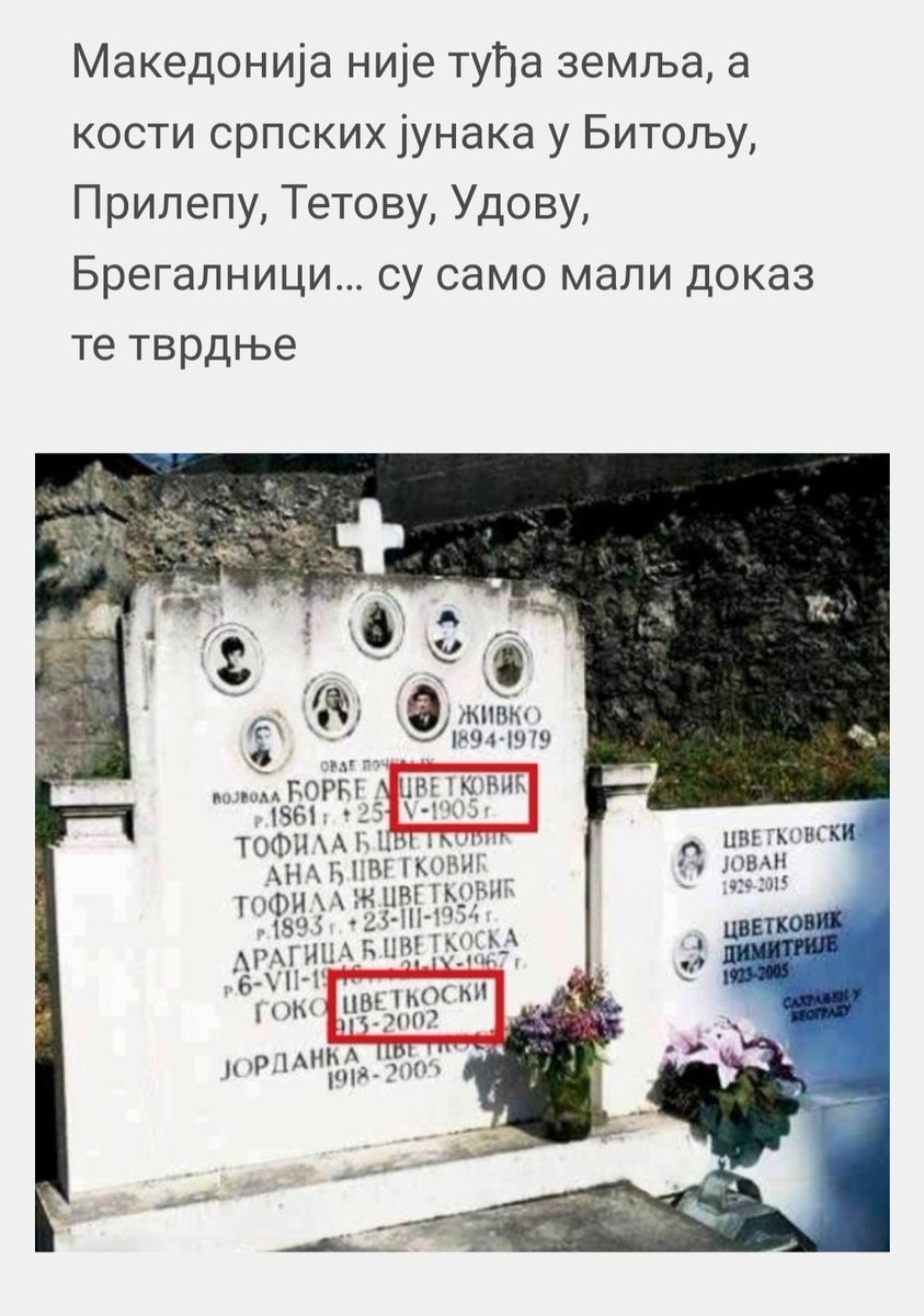 Vojvotkinja 🇷🇸 tweet media