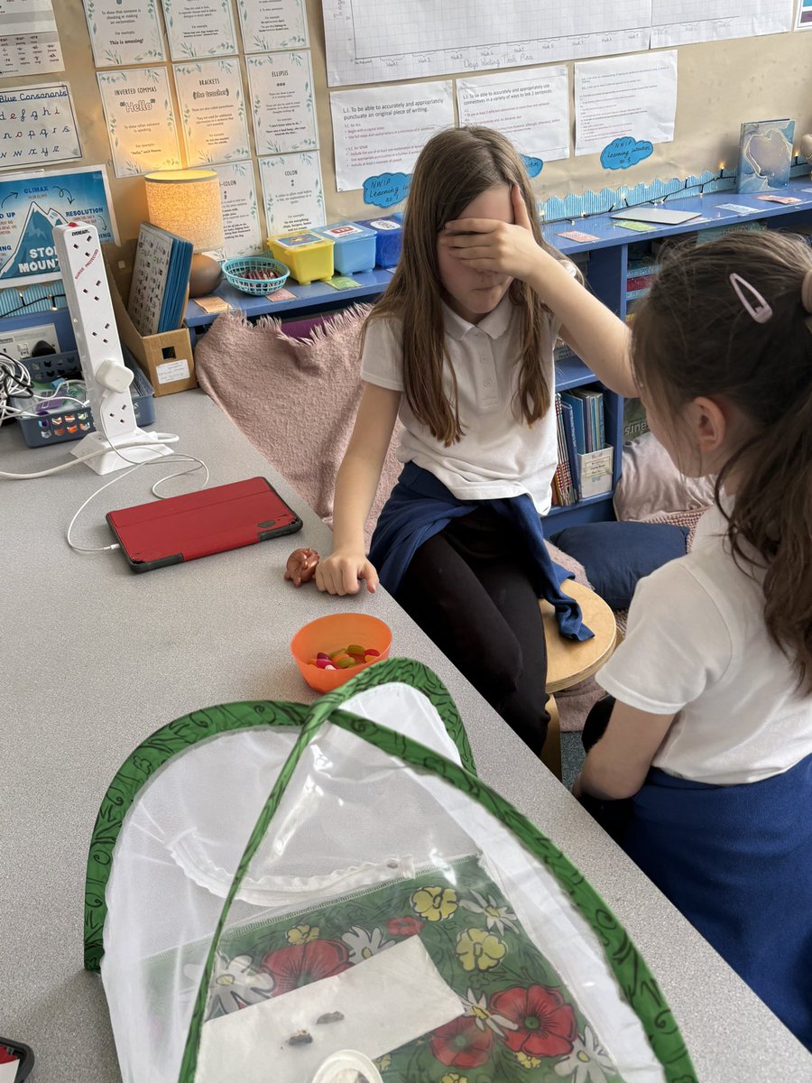 stpetersgala's tweet photo. Learning about the sense of taste, P4 have learned a new word - Unami. Can they tell you what it means? We had fun tasting jelly beans without using our sense of sight or smell to try and work out the colour and flavour. #enjoylearning https://t.co/i3FadzYvaZ