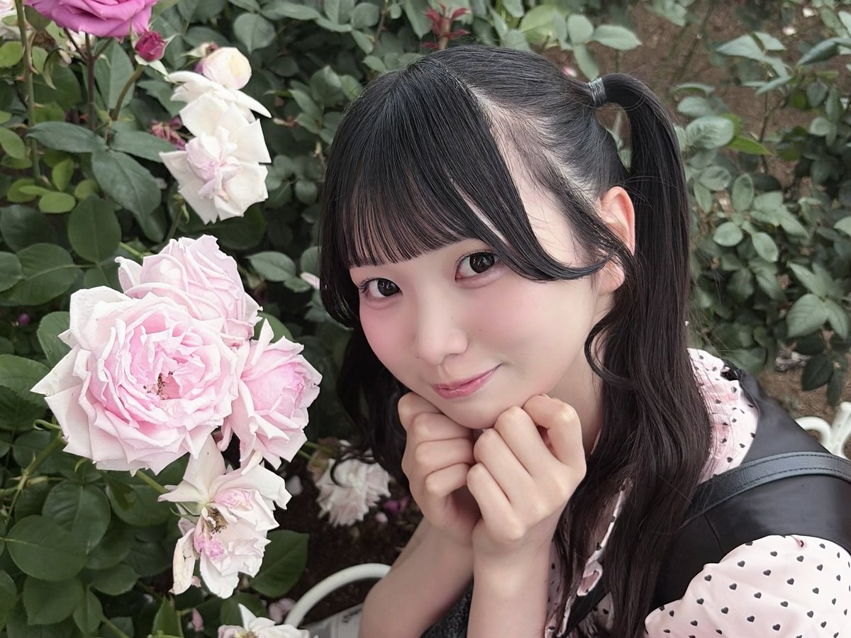 endo_rino_'s tweet photo. バラ園行ってきた꒰ ᩚ⸝ʚ̴̶̷̷ · ʚ̴̶̷̷⸝ ᩚ꒱♡
 #RainTree https://t.co/Y5OFfmgUoR