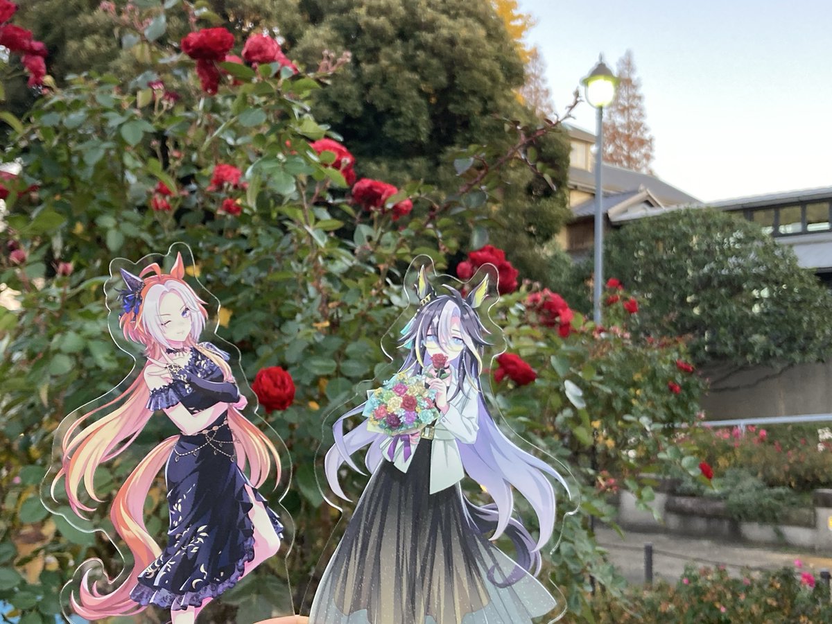 アジサイ@ウマ娘7thD2現地参戦 tweet media