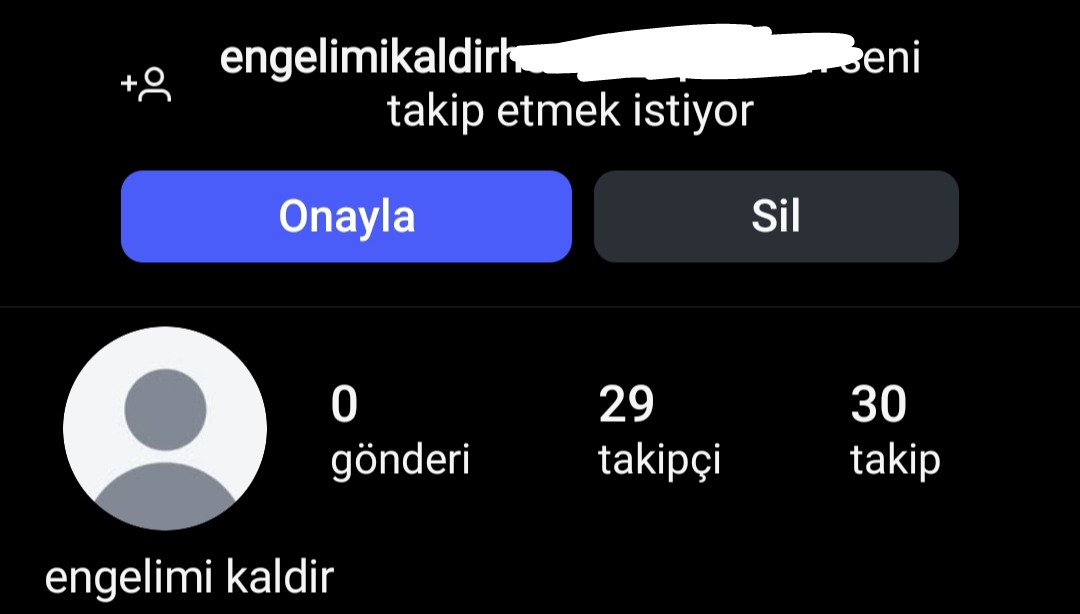 rumeysa tweet media