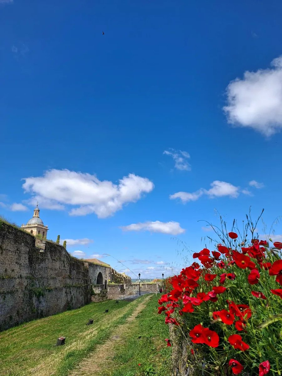 AGOTCIR. Visitas guiadas en Ciudad Rodrigo tweet media
