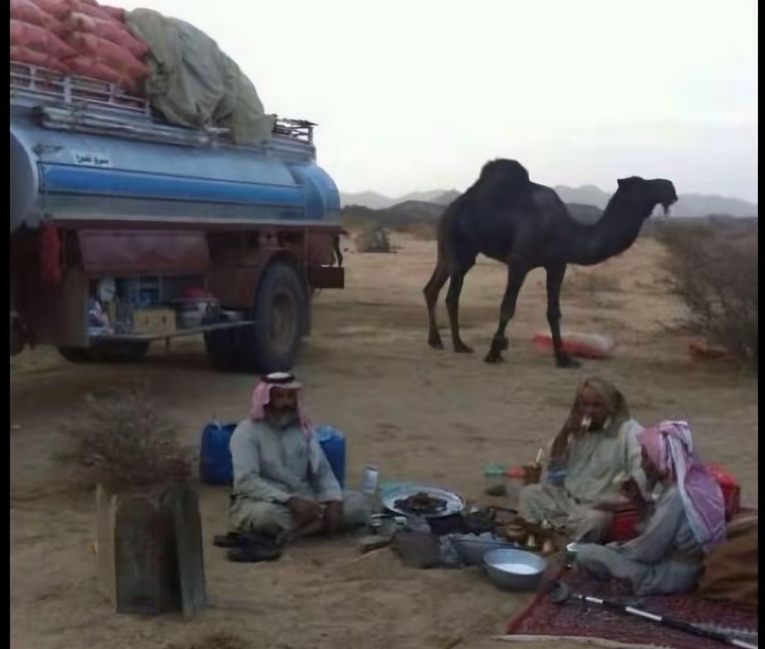 مضيمه . tweet media